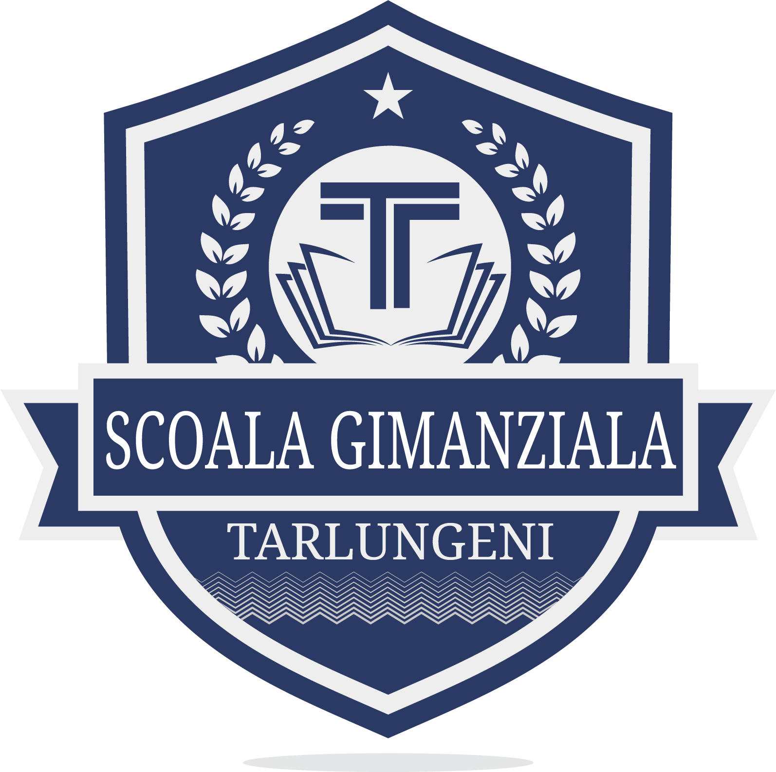 Scoala Gimaziala Tarlungeni